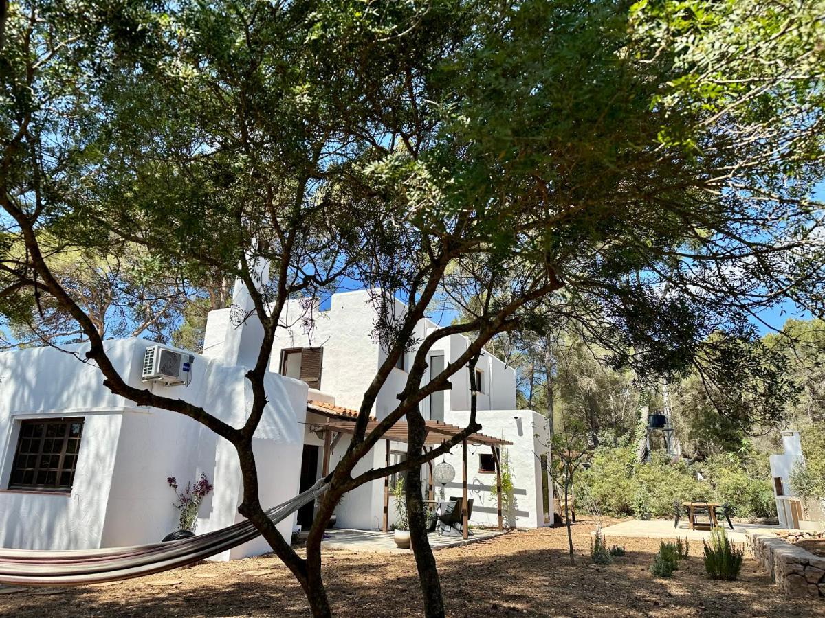 Spacious & Luxury Villa In Ibiza - Santa Gertrudis - Villa Chiquita Kültér fotó